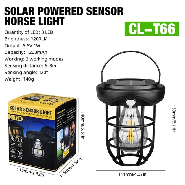 Solar-Powered Decorative Light