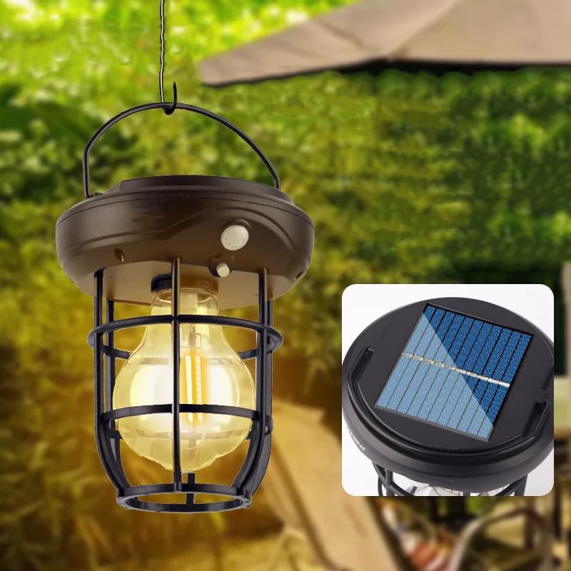 Solar-Powered Decorative Light